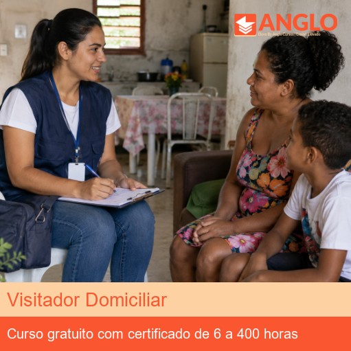 Visitador Domiciliar